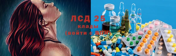 ECSTASY Дмитриев