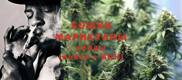 ECSTASY Дмитриев