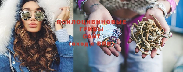 ECSTASY Дмитриев