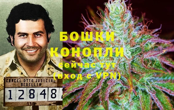 ECSTASY Дмитриев