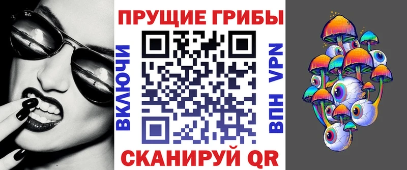 Галлюциногенные грибы Psilocybe  Купить закладки  Кизел 
