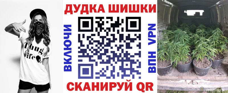 Купить  Кизел  Марихуана OG Kush 